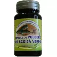 Artimun [scoica verde] 30cps - HERBA VITA