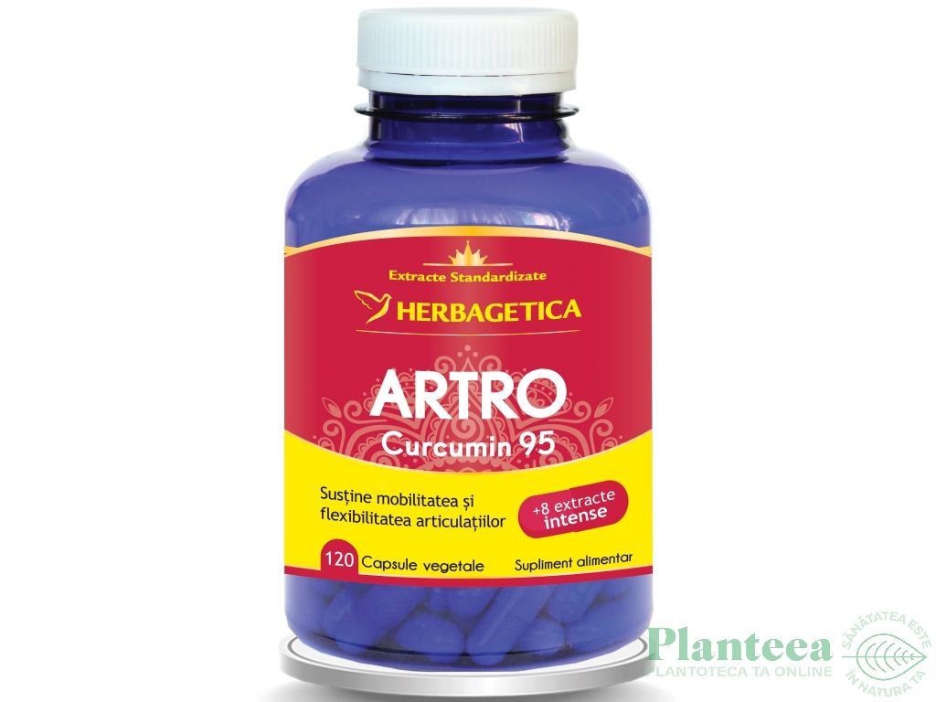 Artro+ curcumin95 120cps - HERBAGETICA