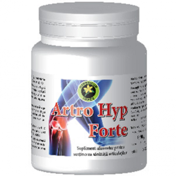 Artro Hyp forte 90g - HYPERICUM PLANT