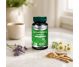 Set Ashwagandha extract 2x30cps - DVR PHARM