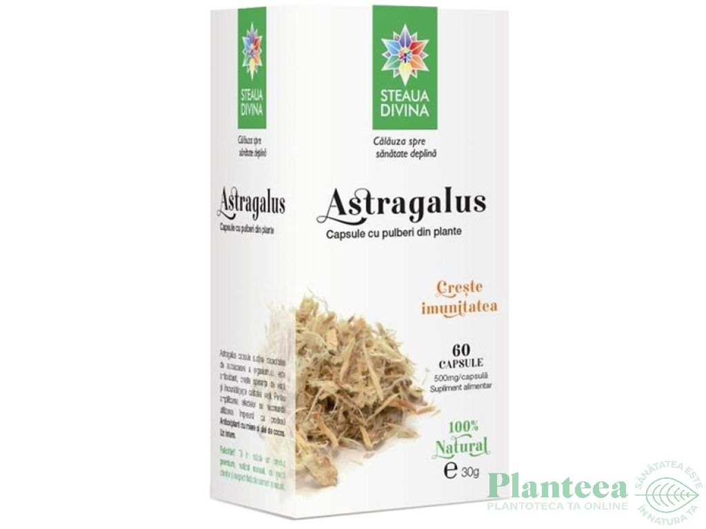Astragalus 500mg 60cps - SANTO RAPHAEL