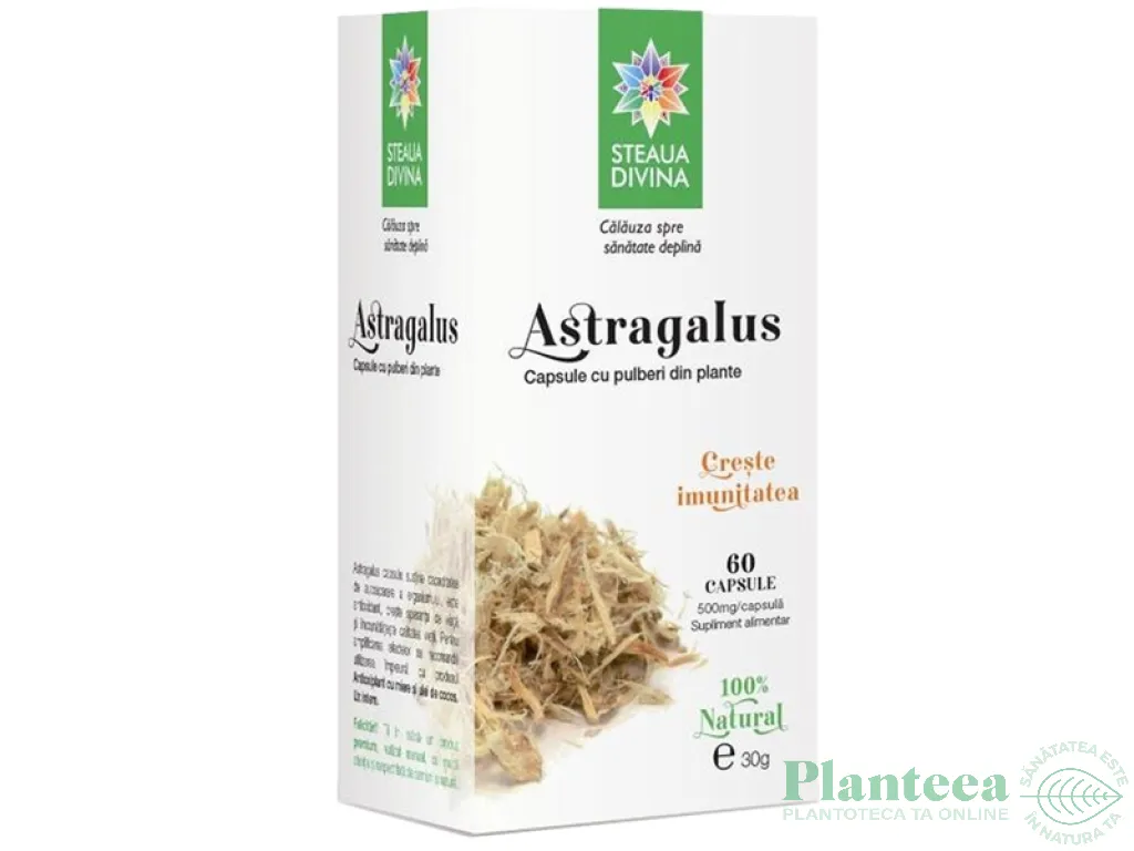 Astragalus 500mg 60cps - SANTO RAPHAEL
