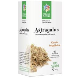 Astragalus 500mg 60cps - SANTO RAPHAEL