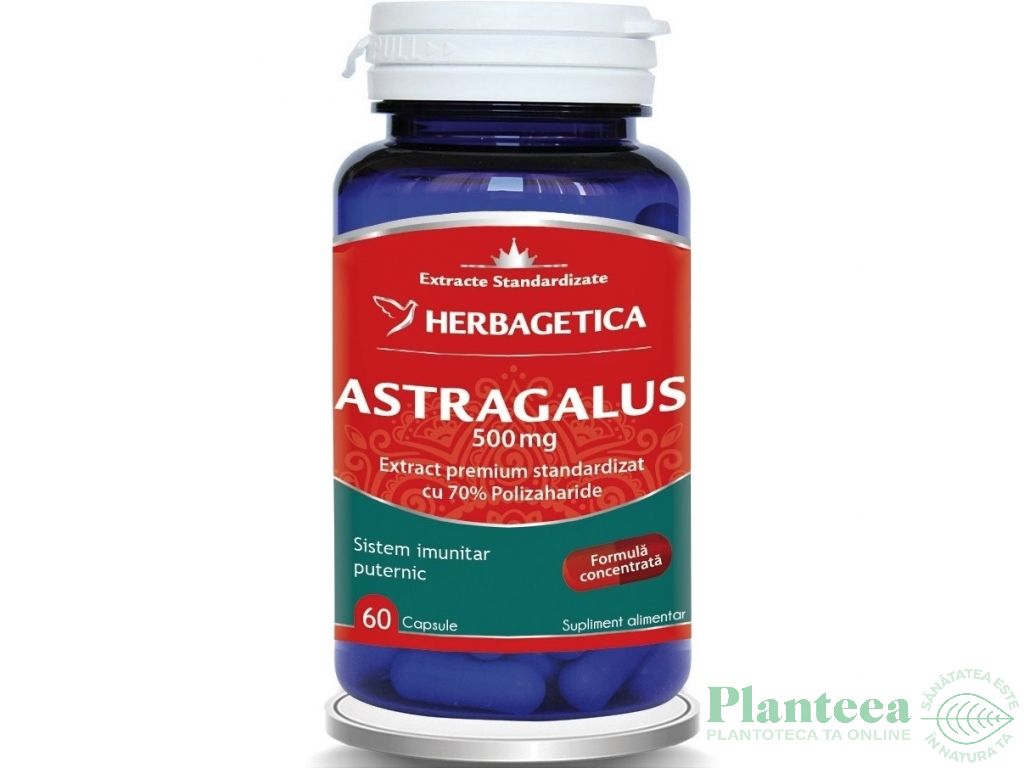 Astragalus 500mg 60cps - HERBAGETICA