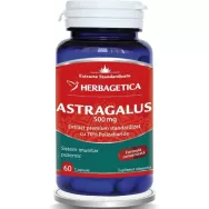 Astragalus 500mg 60cps - HERBAGETICA