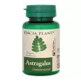 Astragalus 500mg 60cp - DACIA PLANT