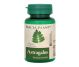 Astragalus 500mg 60cp - DACIA PLANT