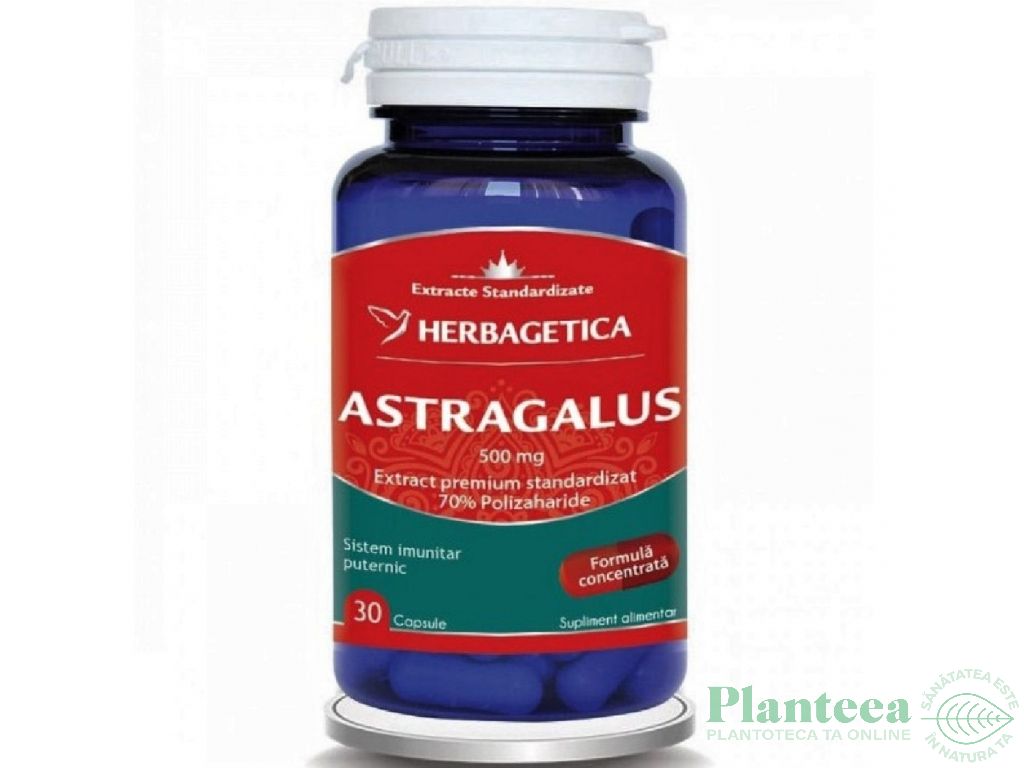 Astragalus 500mg 30cps - HERBAGETICA