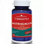 Astragalus 500mg 30cps - HERBAGETICA