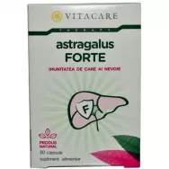 Astragalus forte 30cps - VITACARE