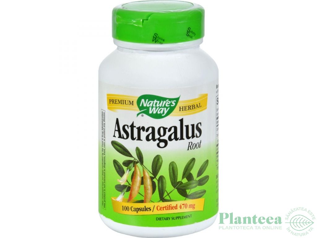 Astragalus root 470mg 100cps - NATURES WAY