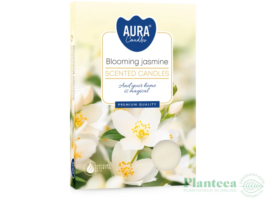 Lumanari pastila parfumate 4h iasomie inflorita 6b - AURA