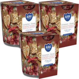 Set 3x Lumanari parfumate pahar imprimat 22h cinnamon cloves 100g - AURA
