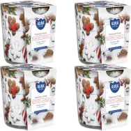 Set 4x Lumanari parfumate pahar imprimat 22h Festive Time 100g - AURA
