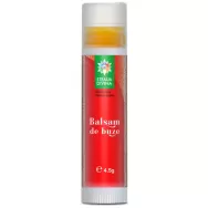 Balsam buze catina 4,5g - SANTO RAPHAEL