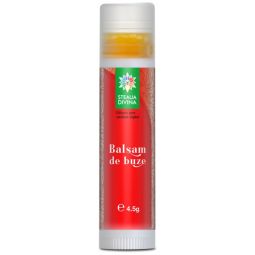 Balsam buze catina 4,5g - SANTO RAPHAEL
