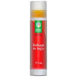 Balsam buze catina 4,5g - SANTO RAPHAEL