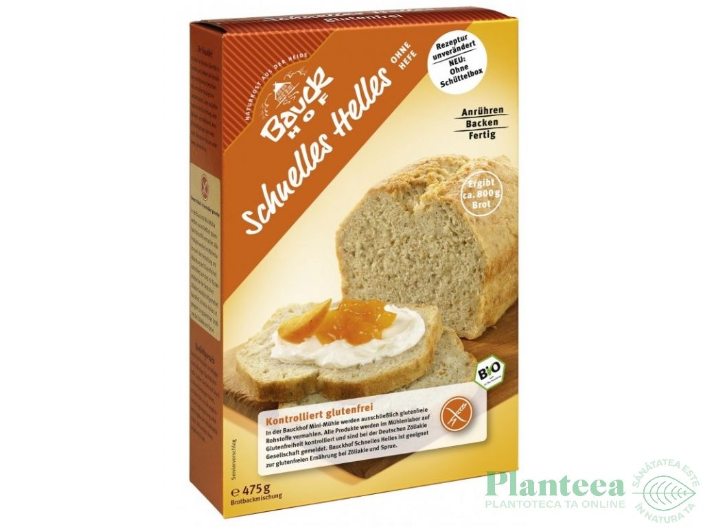 Premix paine rapida orez fara gluten eco 475g - BAUCK HOF