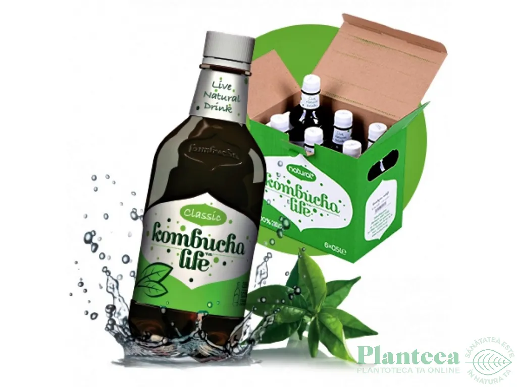 Bautura kombucha clasic 500ml - KOMBUCHA LIFE
