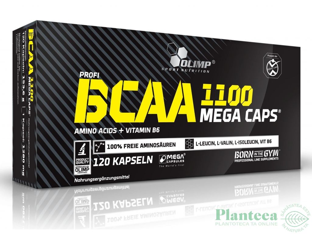 BCAA 1100mg mega caps 120cps - OLIMP