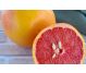 Extract glicerinic samburi grepfrut Citromicina 30ml - AROM SCIENCE
