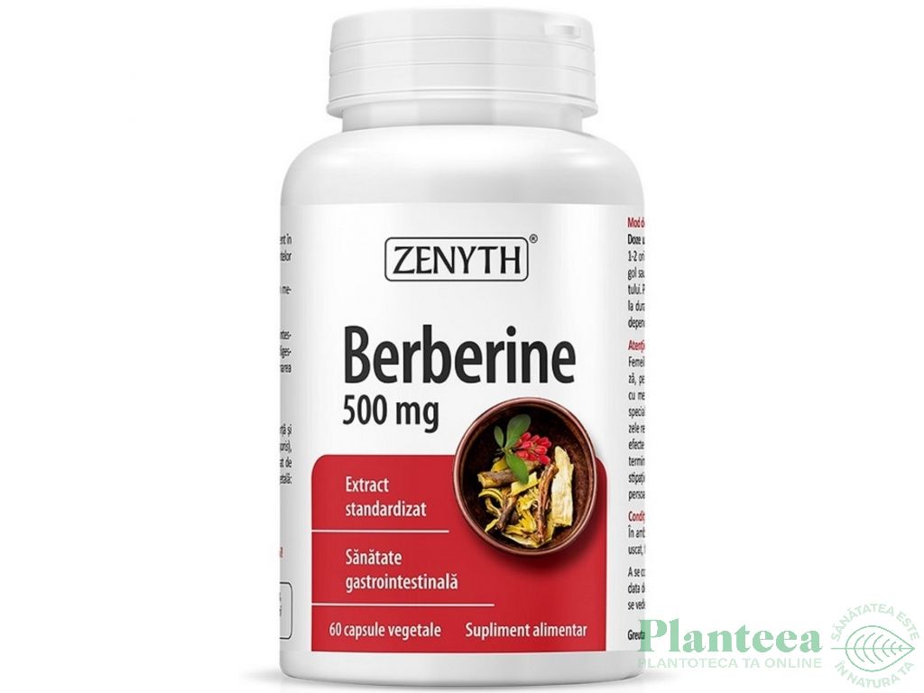 Berberine 500mg 60cps - ZENYTH