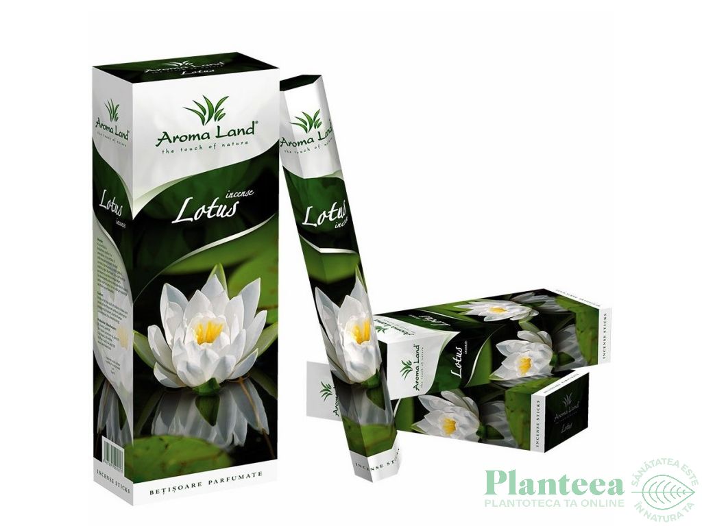 Betisoare parfumate Lotus 20b - AROMA LAND