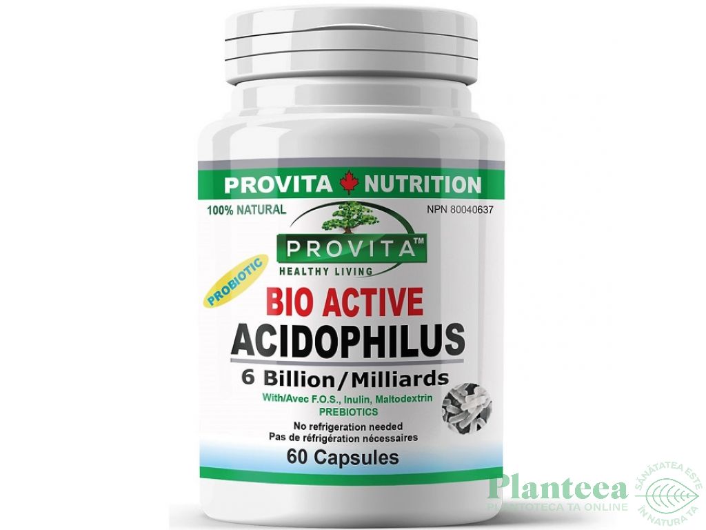 Acidophilus 60cps - PROVITA NUTRITION