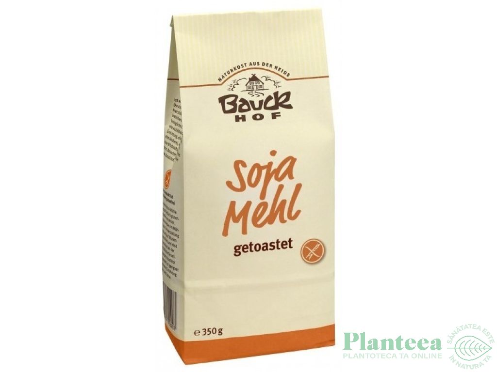 Faina soia prajita fara gluten eco 350g - BAUCK HOF