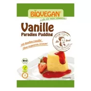 Praf budinca vanilie fara gluten eco 31g - BIOVEGAN