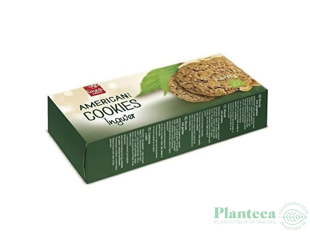 Biscuiti ghimbir americani eco 175g - LINEA NATURA