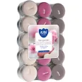 Lumanari pastila parfumate 4h gradina spa 30b - AURA