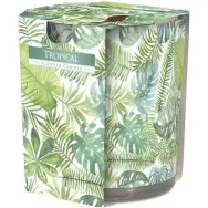 Lumanare parfumata pahar imprimat 22h tropical 100g - AURA