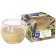 Lumanare parfumata pahar 18h Vanilla Dream 80g - AURA