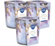 Set 3x Lumanari parfumate pahar imprimat 22h Xmas time 100g - BISPOL