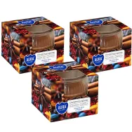 Set 3x Lumanari parfumate pahar 18h Christmas spices 80g - AURA