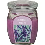 Lumanare parfumata borcan cu capac 60h lavanda 630g - BOLSIUS