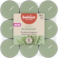 Lumanari pastila parfumate 4h rozmarin proaspat 18b - BOLSIUS