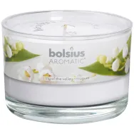 Lumanare parfumata pahar cu capac 26h lacramioara 370g - BOLSIUS