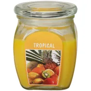 Lumanare parfumata borcan cu capac 60h tropical 630g - BOLSIUS