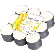 Lumanari pastila parfumate 4h feel happy mango bergamot True moods 18b - BOLSIUS
