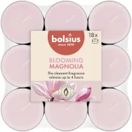 Lumanari pastila parfumate 4h magnolie True Scents 18b - BOLSIUS