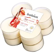 Lumanari pastila parfumate 8h maxi get cosy mar copt scortisoara True moods 8b - BOLSIUS