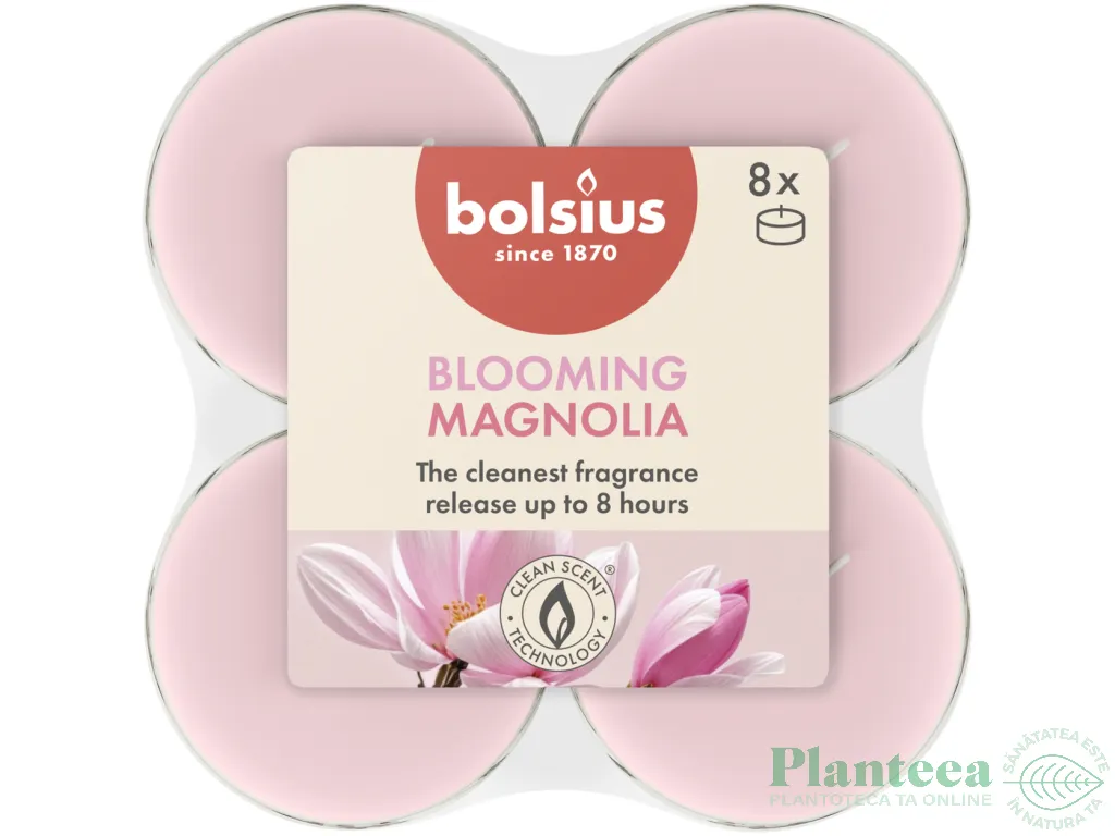 Lumanari pastila parfumate 8h maxi magnolie True Scents 8b - BOLSIUS
