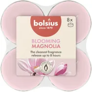 Lumanari pastila parfumate 8h maxi magnolie True Scents 8b - BOLSIUS