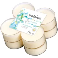Lumanari pastila parfumate 8h maxi in balance ceai alb menta True moods 8b - BOLSIUS