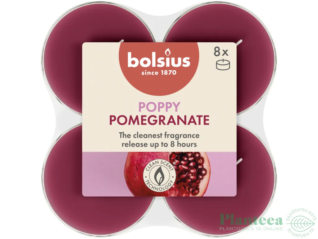 Lumanari pastila parfumate 8h maxi rodie True Scents 8b - BOLSIUS