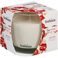 Lumanare parfumata pahar 43h get cosy mar scortisoara True Moods 660g - BOLSIUS