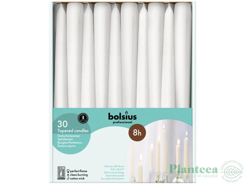 Lumanari ornamentale conice 7,5h alb 30b - BOLSIUS