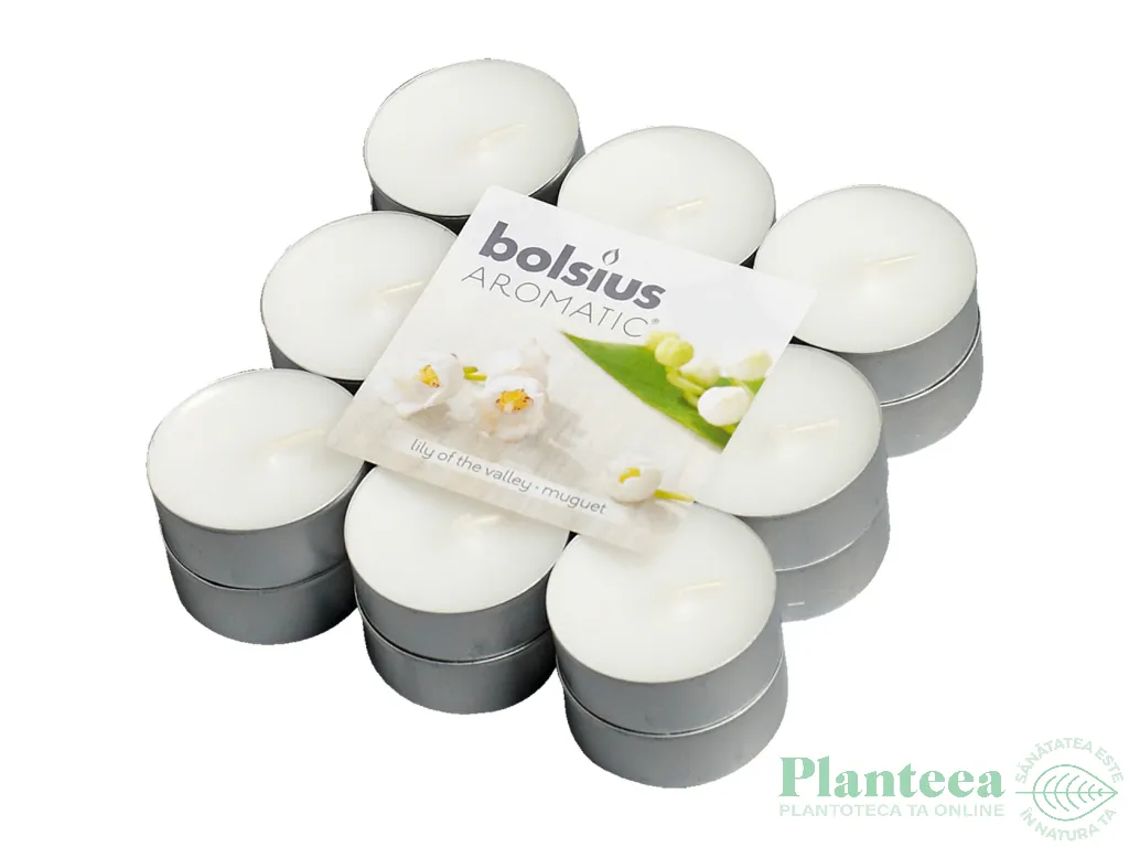 Lumanari pastila parfumate 4h lacramioara 18b - BOLSIUS